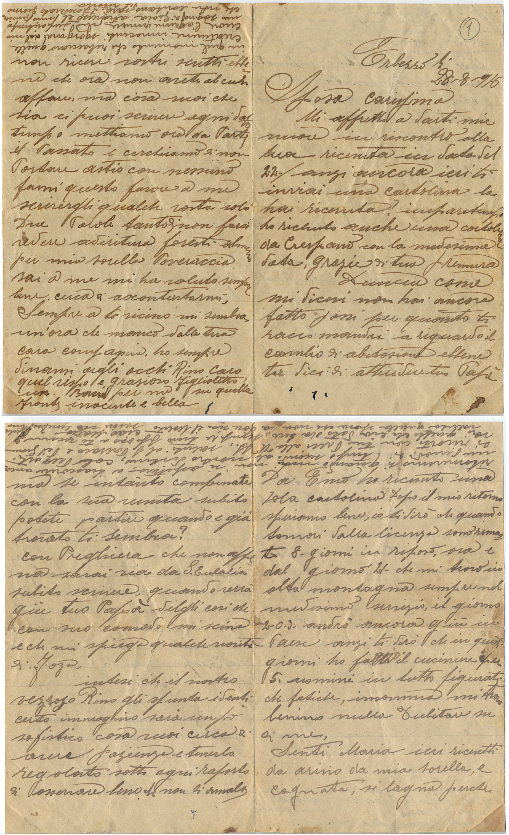 lettera di Giulio del 28 agosto 16